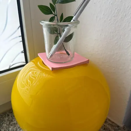 Student * Offenbach am Main